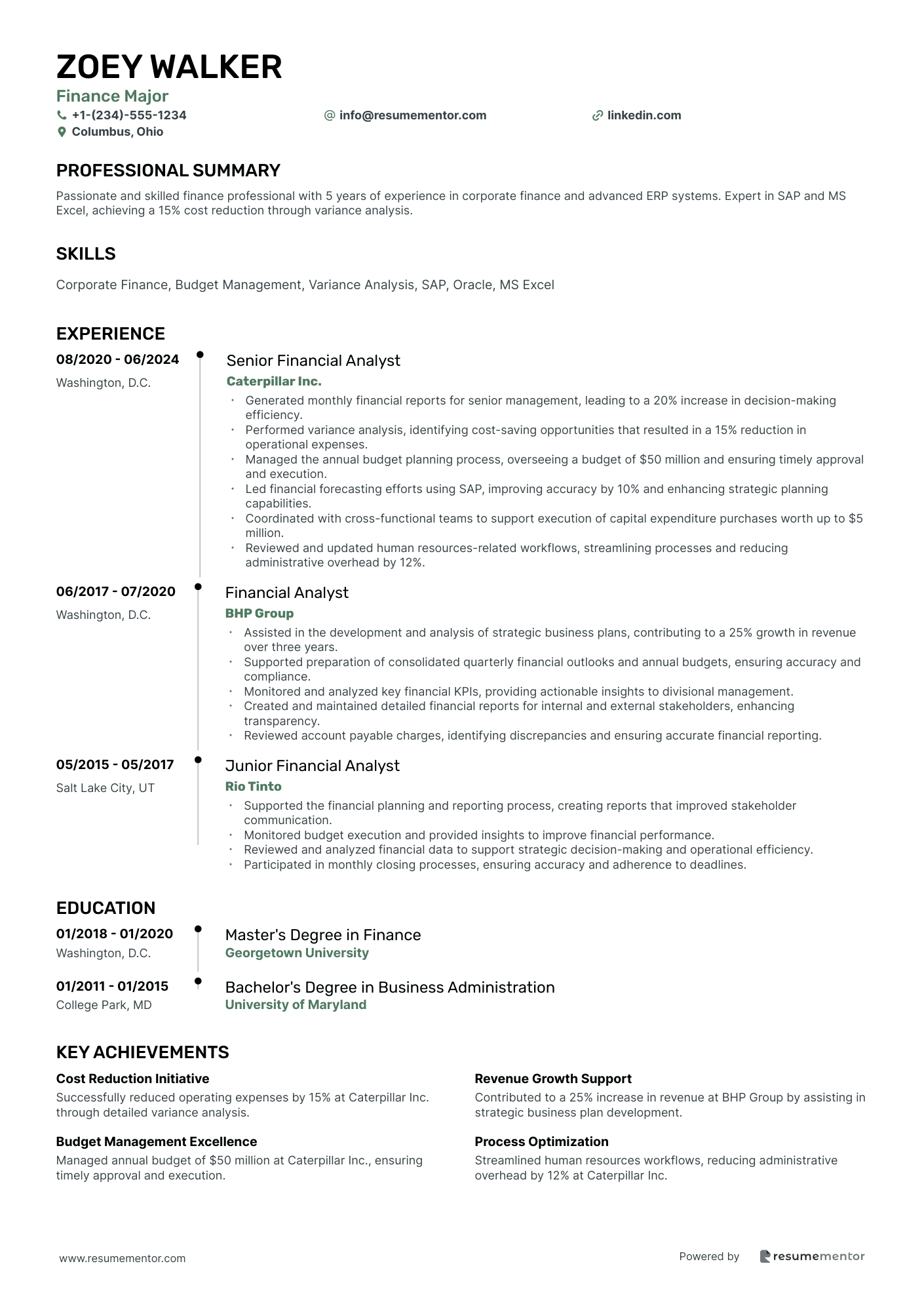 Resume Example Image