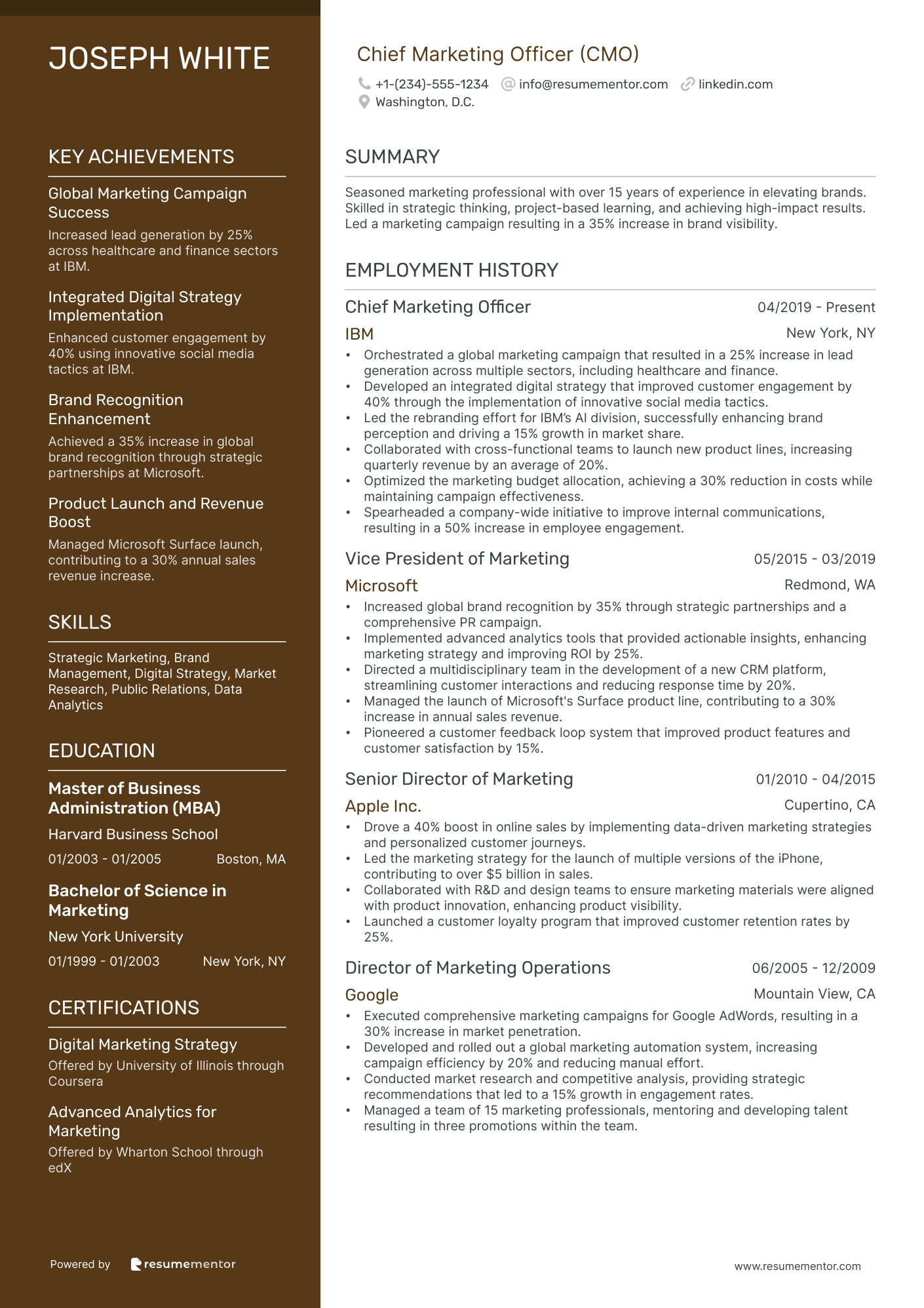 Resume Example Image