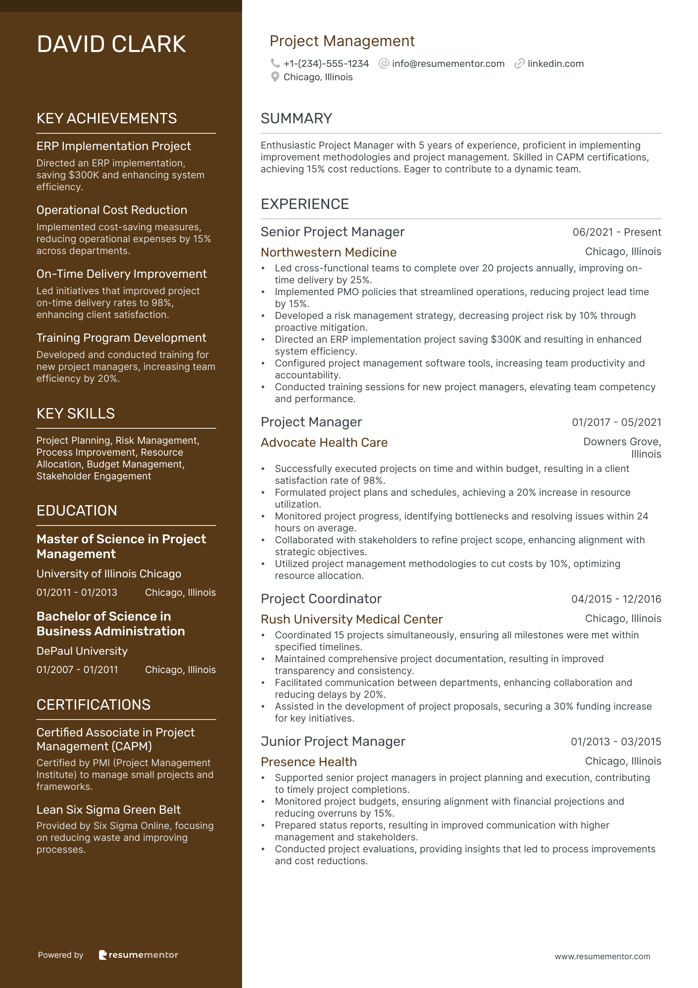 Resume Example Image