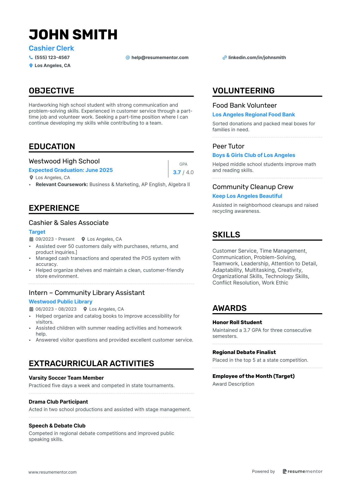 Resume Example Image