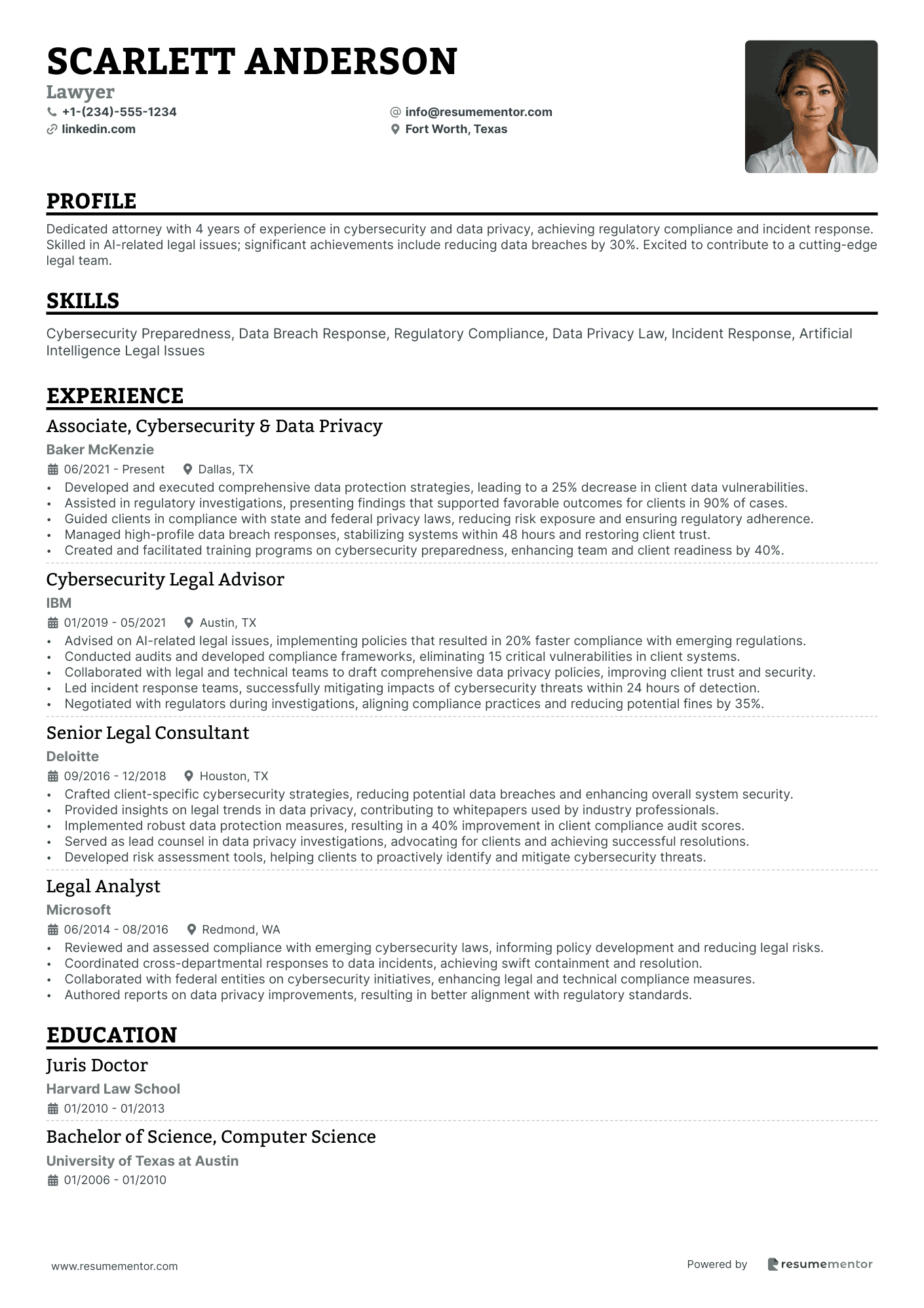 Resume Example Image