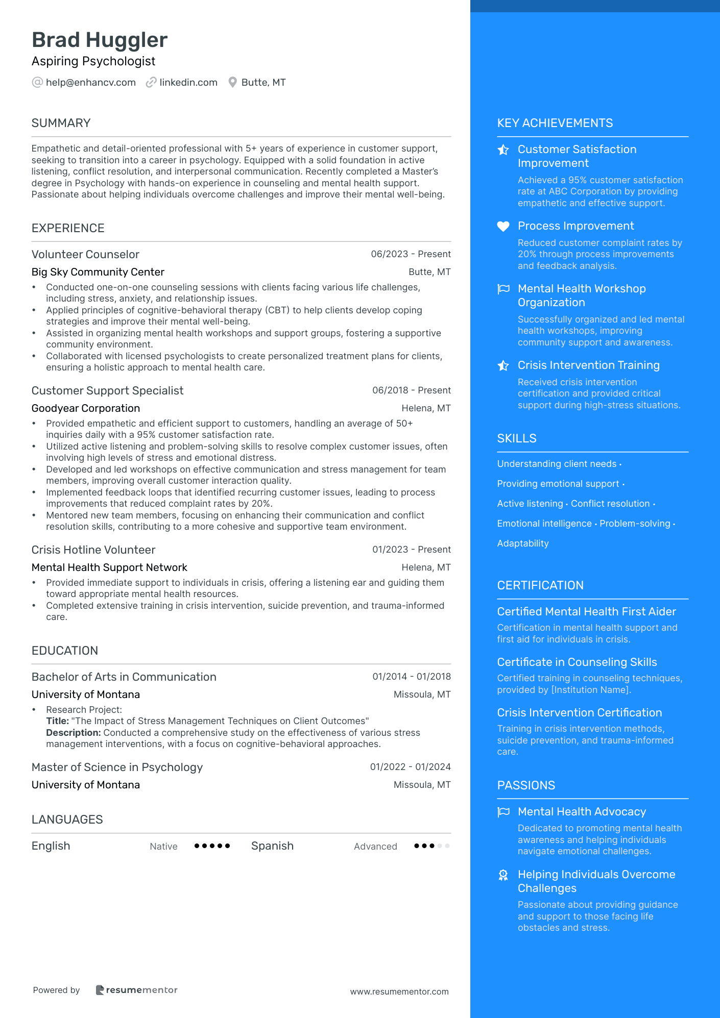 Resume Example Image