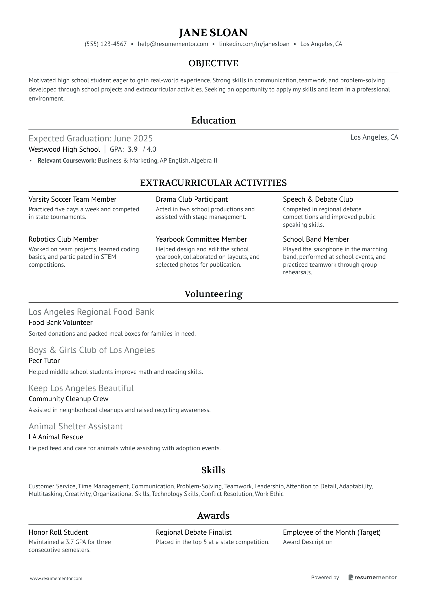 Resume Example Image